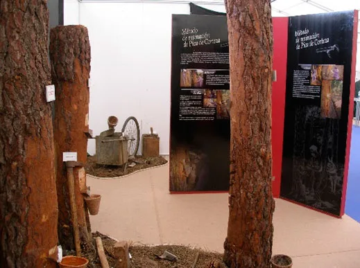 Exposición en la feria de Muestras de Almazán Exposición en la feria de Muestras de Almazán
