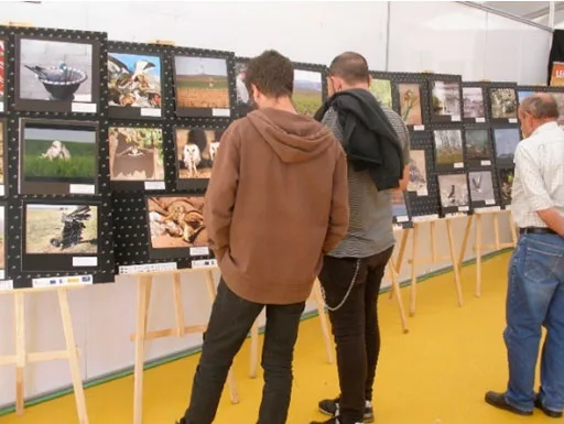 Exposición de fotografía ornitológica en Almazán.